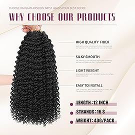 Dansama 6 Packs Passion Twist Hair Water Wave Braiding Hair for Butterfly Style Crochet Braids Bohemian Hair Extensions (12inch, 2, Economy Pack)