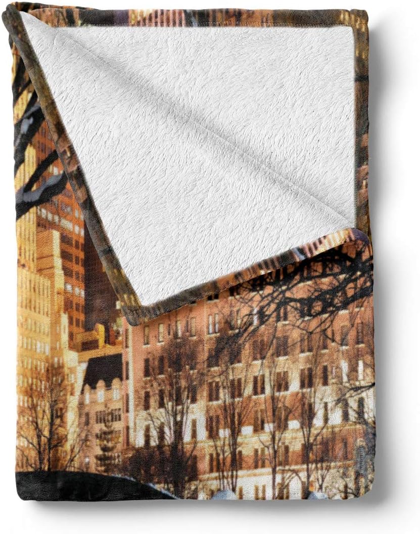 Lunarable NYC Throw Blanket, New York City Manhattan Central Park Panorama in Winter Bridge Freezing Lake at Dusk, Flannel Fleece Accent Piece Soft Couch Cover for Adults, 50" x 70", Black White 50" x 70" for Adults Black White