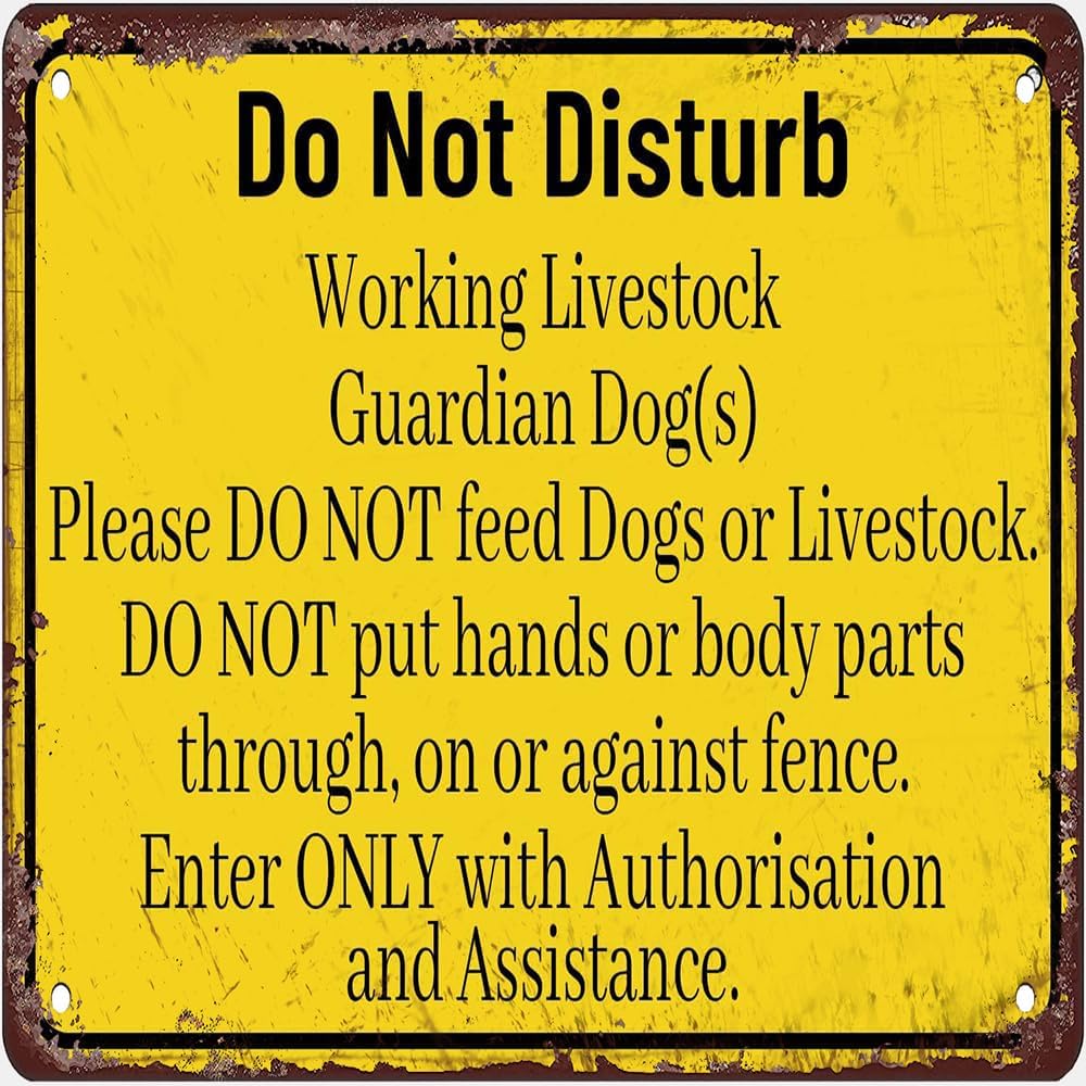Do Not Disturb Working Livestock Guardian Dog Sign Metal Tin Sign Caution Danger Safety Security Warning Notice Signs Gift For Women Men 8x12 Inch