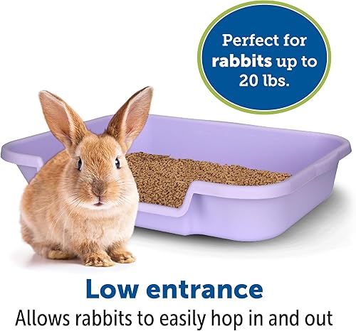 Miniatura 9 de NE14pets Caja de arena para conejo con diseño de conejo Go Here de NE14pets color gris brumoso fabricado en Estados Unidos. Consulta el dibujo de