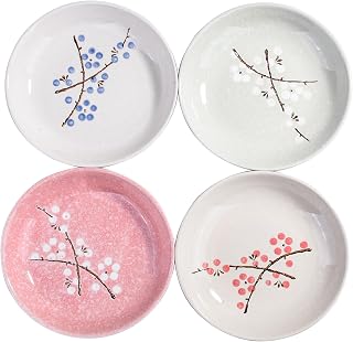 Whitenesser Set of 4 Japanese-Style Ceramic Plates 7 Inch - Unique Handcrafted Patterns, Microwave & Dishwasher Safe Dinnerware