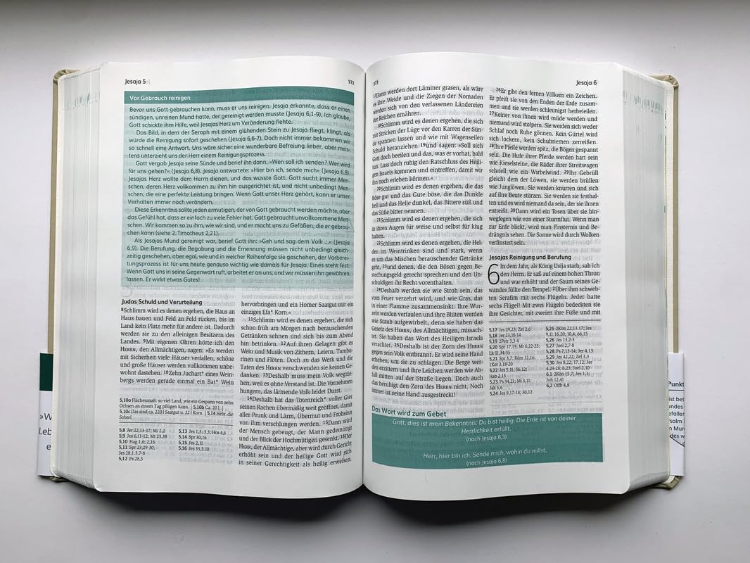 Die Bibel mit Impulsen von Joyce Meyer, Kunstlederausgabe: Lesen. Glauben. Leben. (Neues Leben. Die Bibel)