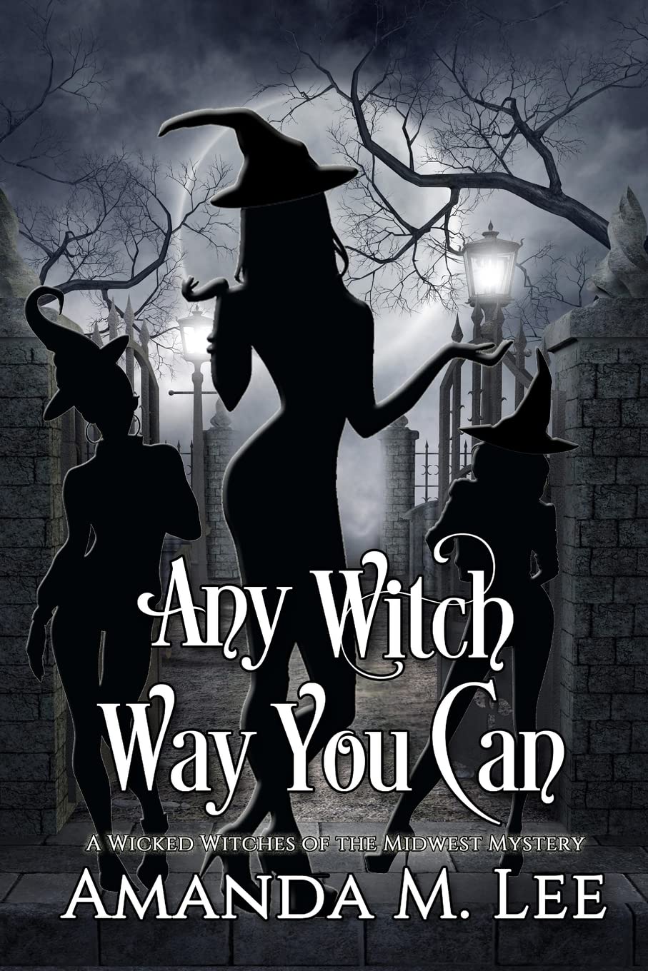 Any Witch Way You Can: Volume 1 (Wicked Witches of the Midwest)