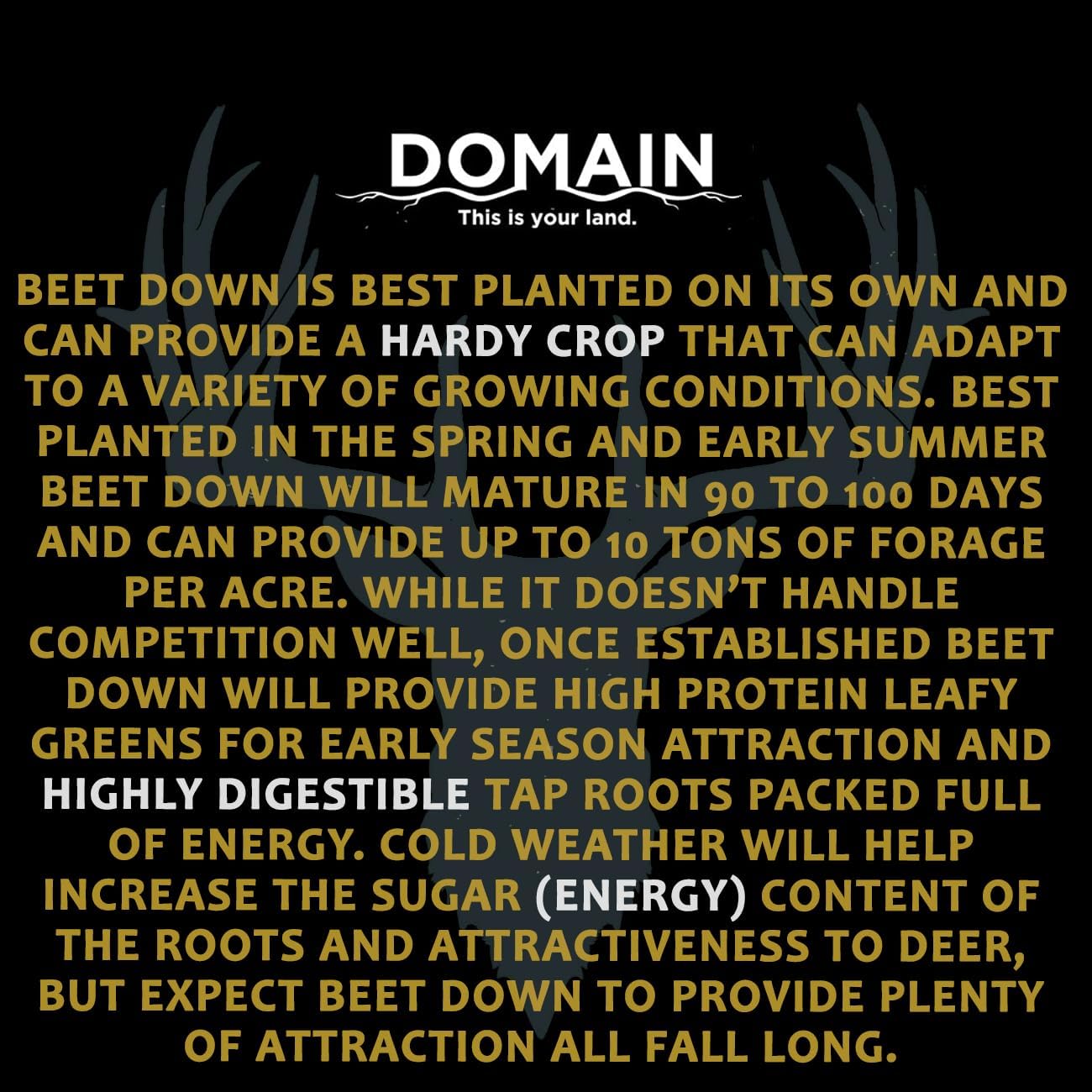 Domain Outdoor Beet Down Food Plot Seed for Deer, 1/4 Acre, Special Variety of Sugar Beet Designed to Produce Tons of Nutrient-Rich Forage, Early and Late Season - Domain Brand Coated Sugar Beets