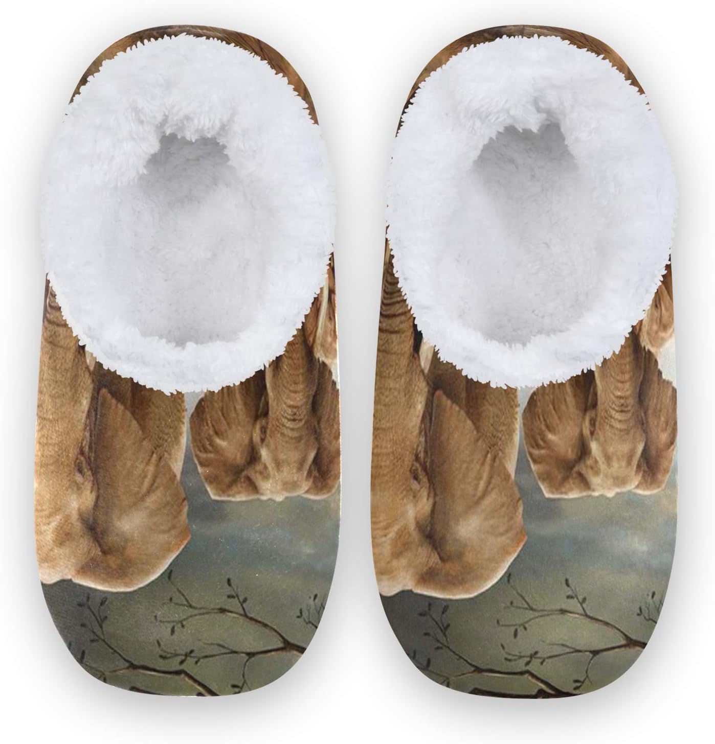 Qmxo Africa Wildlife Elephant Slippers for Women and Men, Womens Coral ...