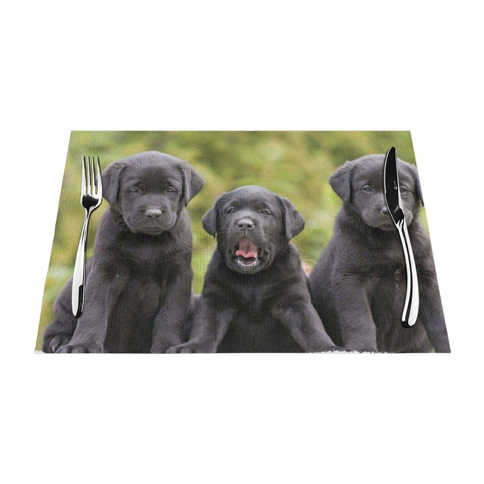 PVC Placemat Set of 6 PCS, 45x30 CM, Labrador Retriever Dog Printed Non-Slip Heat Resistant Place Mats for Kitchen Dining Table Indoor Outdoor