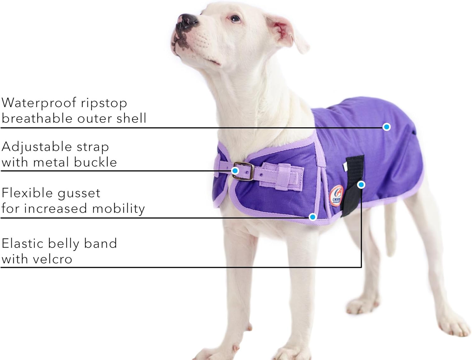 dog walk ripstop jacket