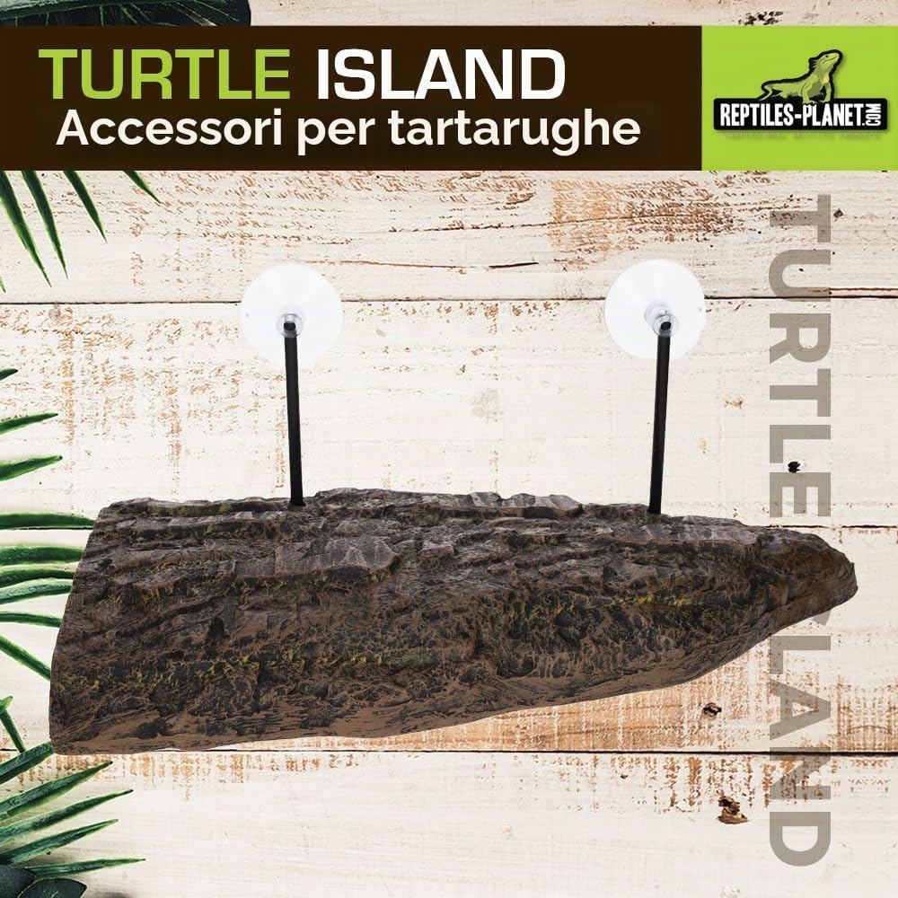 Reptiles-Planet Tartaruga Isola per Tartarughe acquatiche, Grande