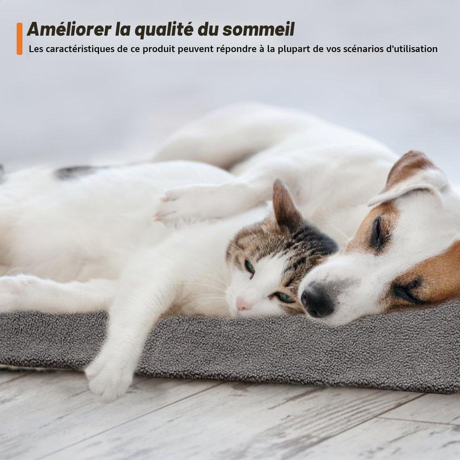 Sporgo chauffant tapis lit pour chat et chien 65x95cm couverture