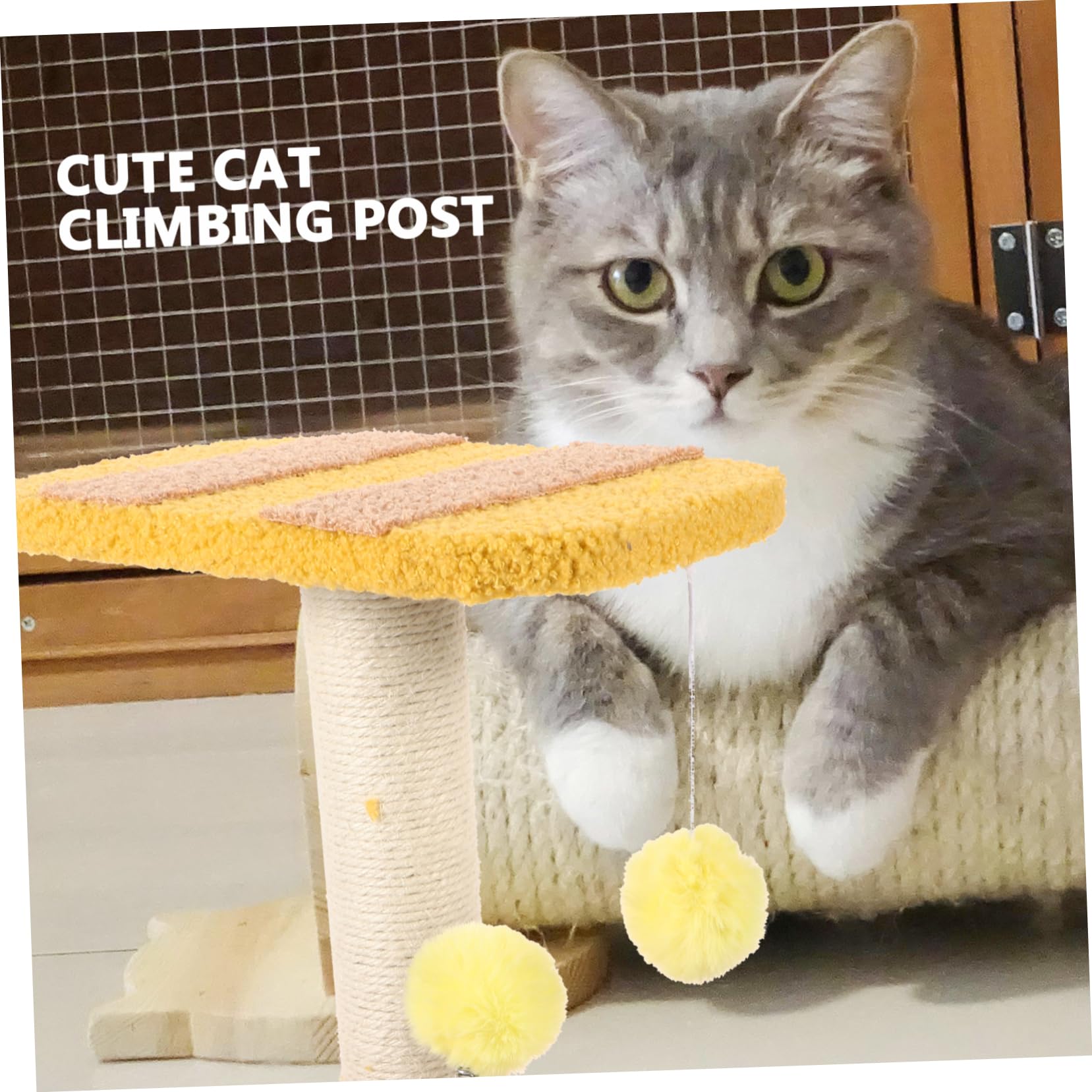 Tiragraffi Per Gatti in Sisal Giocattolo Per Gatti Con Design Interessante Materiale Sicuro E Riutilizzabile Per Gattini