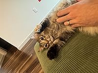 Review Image by Zachary Diamond Zachary Diamond