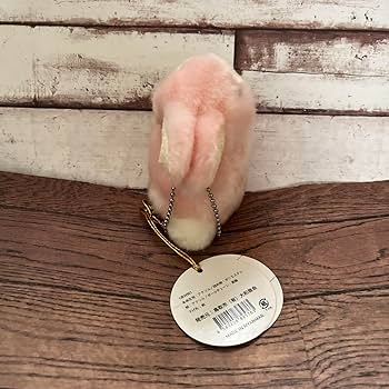 Amazon.co.jp: CUTE 因幡の白うさぎ 鳥取市 ぬいぐるみ