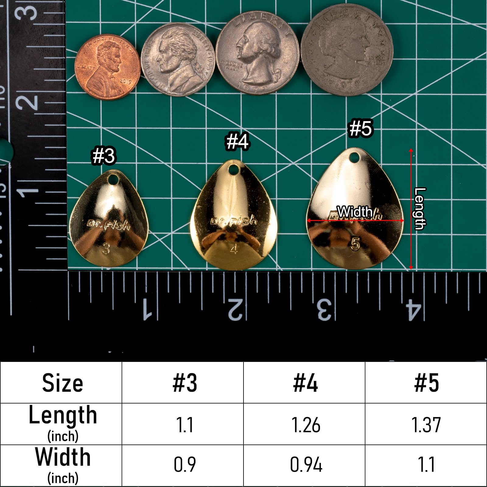 Dr.Fish 30 Pack Fishing Spinner Blades Colorado Blade Gold Silver Spinner Lure Making Supplies Parts Accessories DIY Spinnerbait Inline Walleye Rigs #4