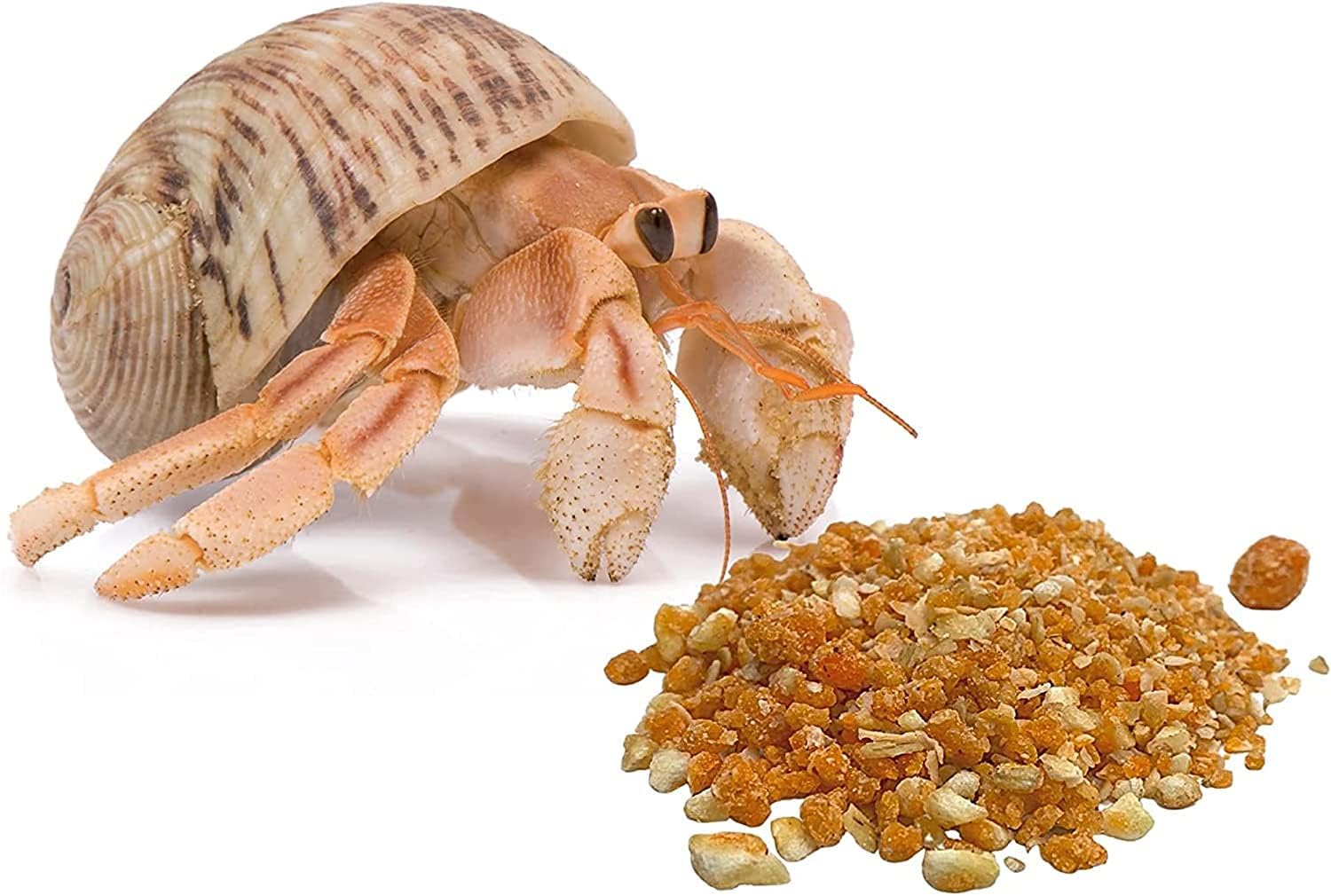 Needzo Hermit Crab Habitat and Food Kit, Starter Pack for Large Travel Cage with Lid, Food, Coral, Treats, and Thermometer, Colors May Vary, 7pc, 12 inches