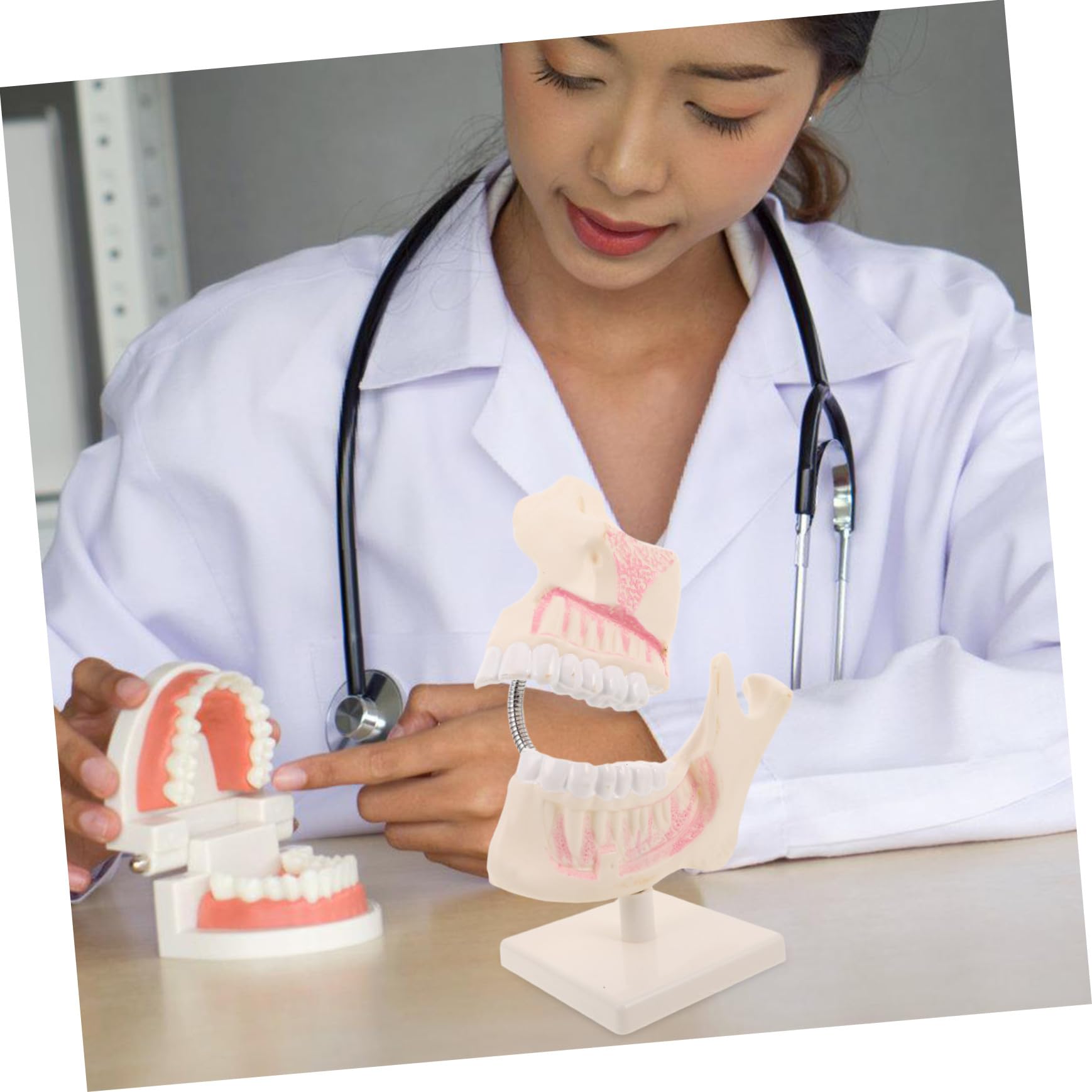 Modello di Denti in Plastica Modello di Pratica per Denti Artificiali Realistico per Studio Dentistico e Apprendimento
