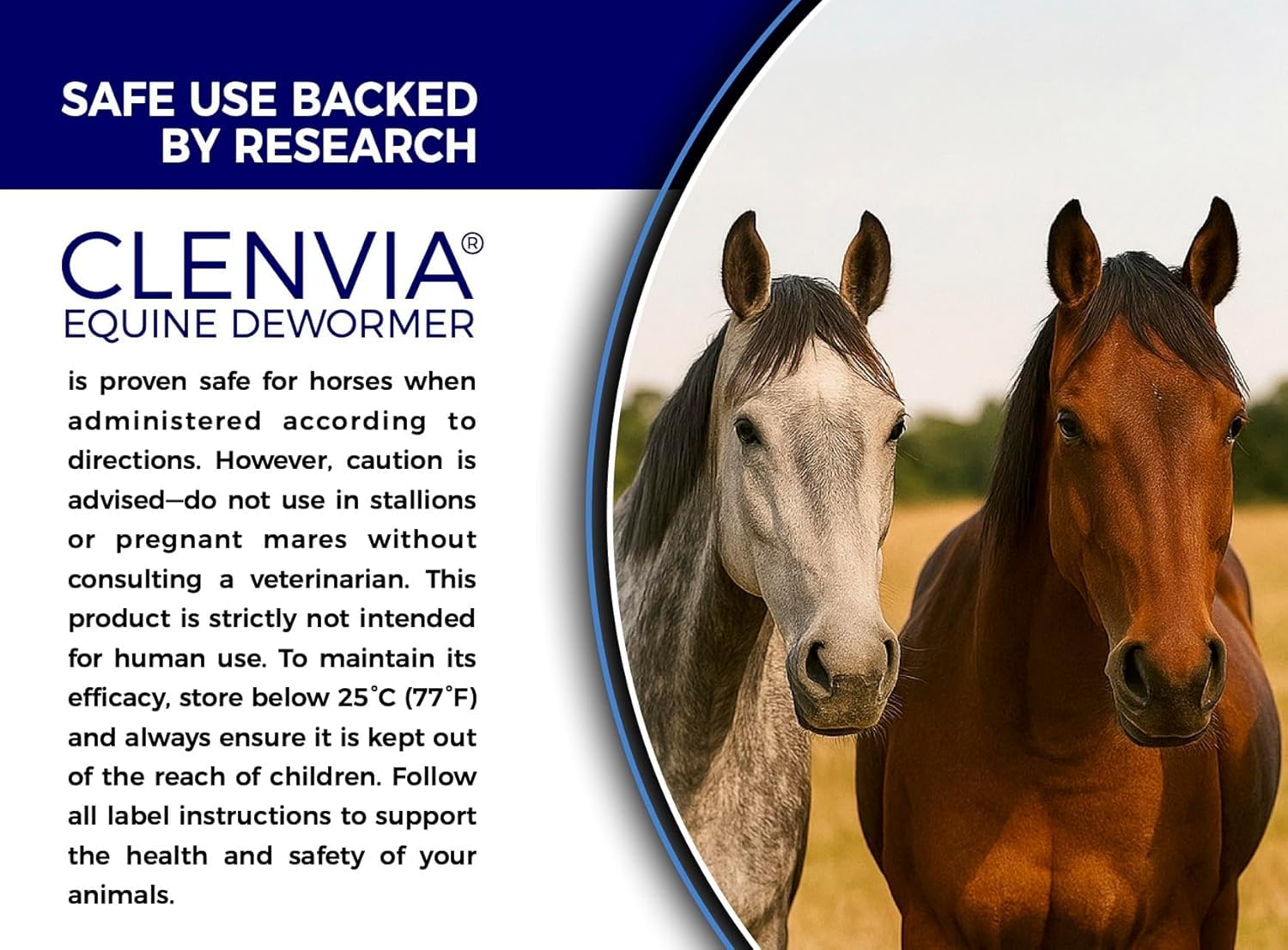 Pasta para Caballos 10% – 1 Paquete – Jeringas de 25g – Pasta Desparasitante Oral para Caballos de Todas Las Edades – Cuidado Equino Fácil de Administrar