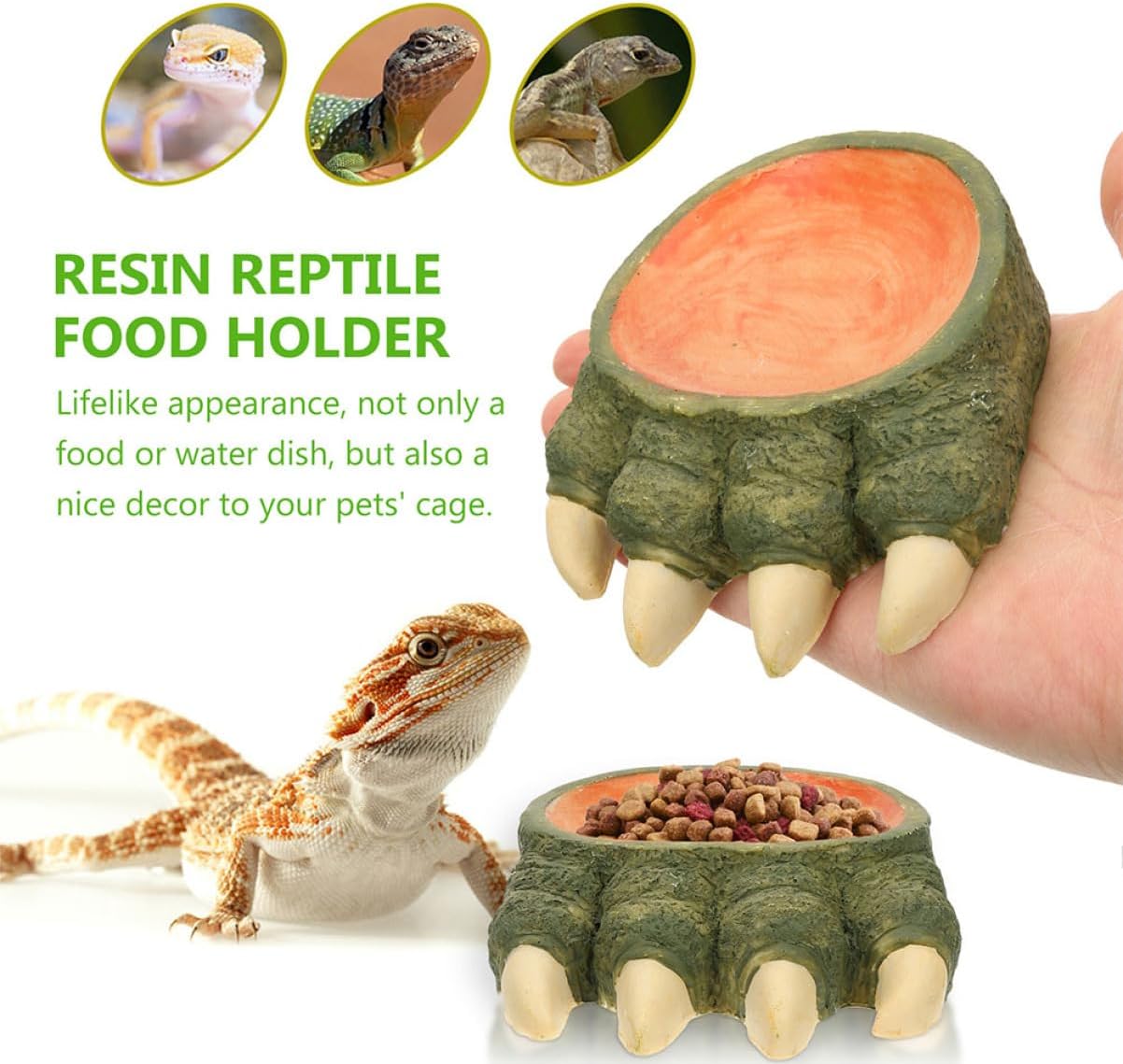 Toddmomy 1set Terrarium Reptile Water Dish Feeding Tongs Snake Bowl Water Bowl for Lizards Turtles and Geckos Essential Reptile Accessory for Food and Hydration