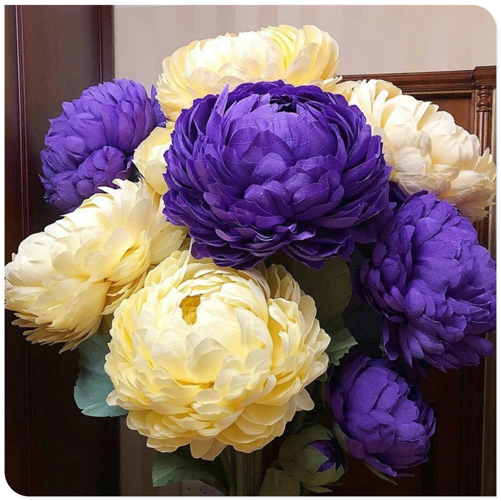 (OPVDJD) peonie comprare paesaggistica resistente/rizomi eleganti/rizomi fiorituri/rizomi resistenti invernali 5 rizomi-D
