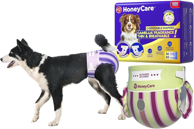 HONEY CARE Petrichor Pañal para perro hembra, fragancia de camelia, emite aroma fresco mientras absorbe la orina, fino y transpirable, 2 diseños de moda en 1 paquete, M, 80 unidades