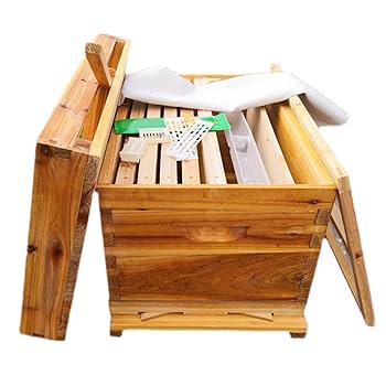 西洋蜜蜂巣箱７枚箱×２  ハーブ太郎ページ 西洋蜜蜂巣箱7枚箱×2 ハーブ太郎ページ 西洋蜜蜂巣箱7枚