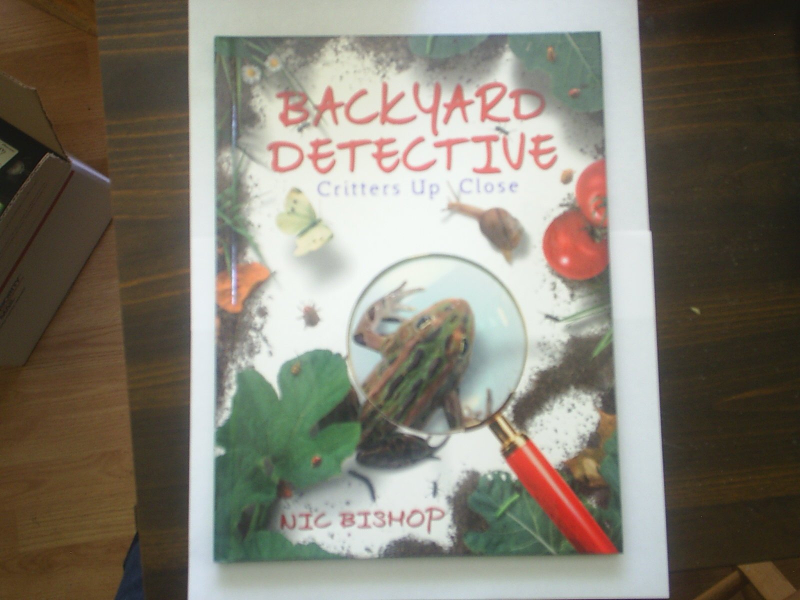 Backyard Detective: Critters Up Close