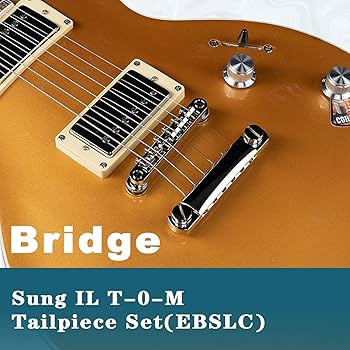 Amazon.com: EART EGLP-620 6 String Solid Full-Size Electric Guitar