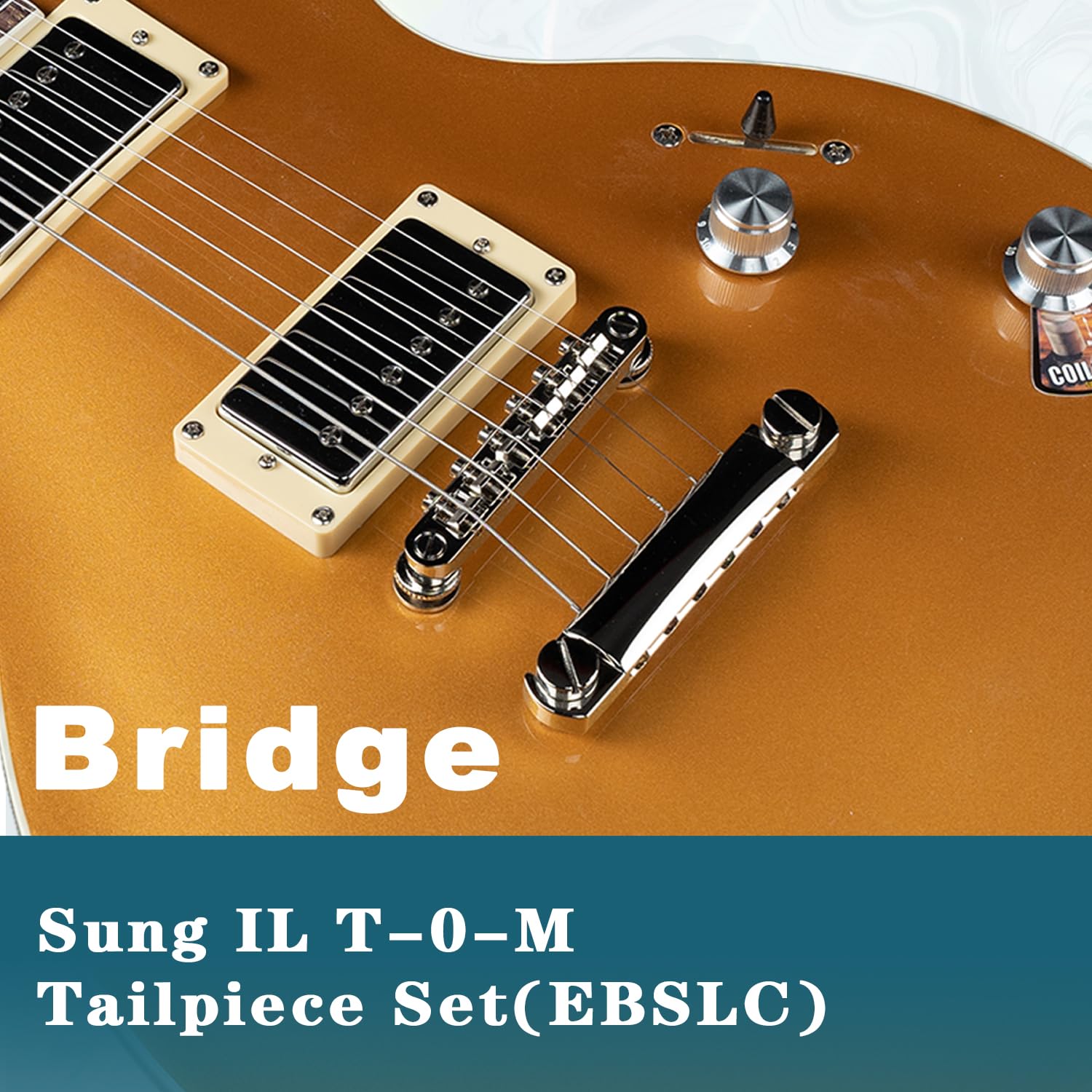 EART EGLP-620 レスポールタイプ Amazon.com: EART EGLP-620 6 String Solid Full-Size Electric