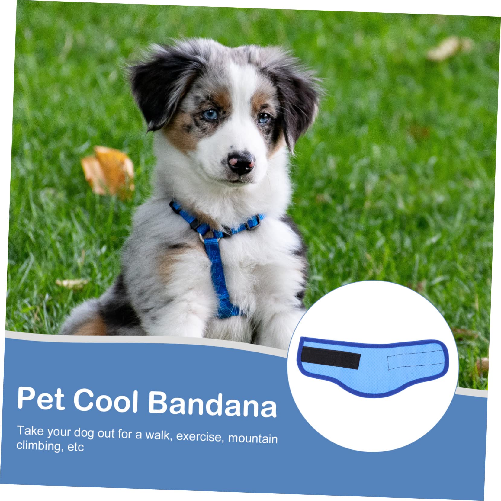 BESPORTBLE 5stücke Kühlendes Hundehalsband Für Sommer Atmungsaktive Und Leichte Bandana Für Haustiere Für Heiße Tage Mit Kühlendem Effekt Pet Cooling Scarf Für Hunde Und Katzen