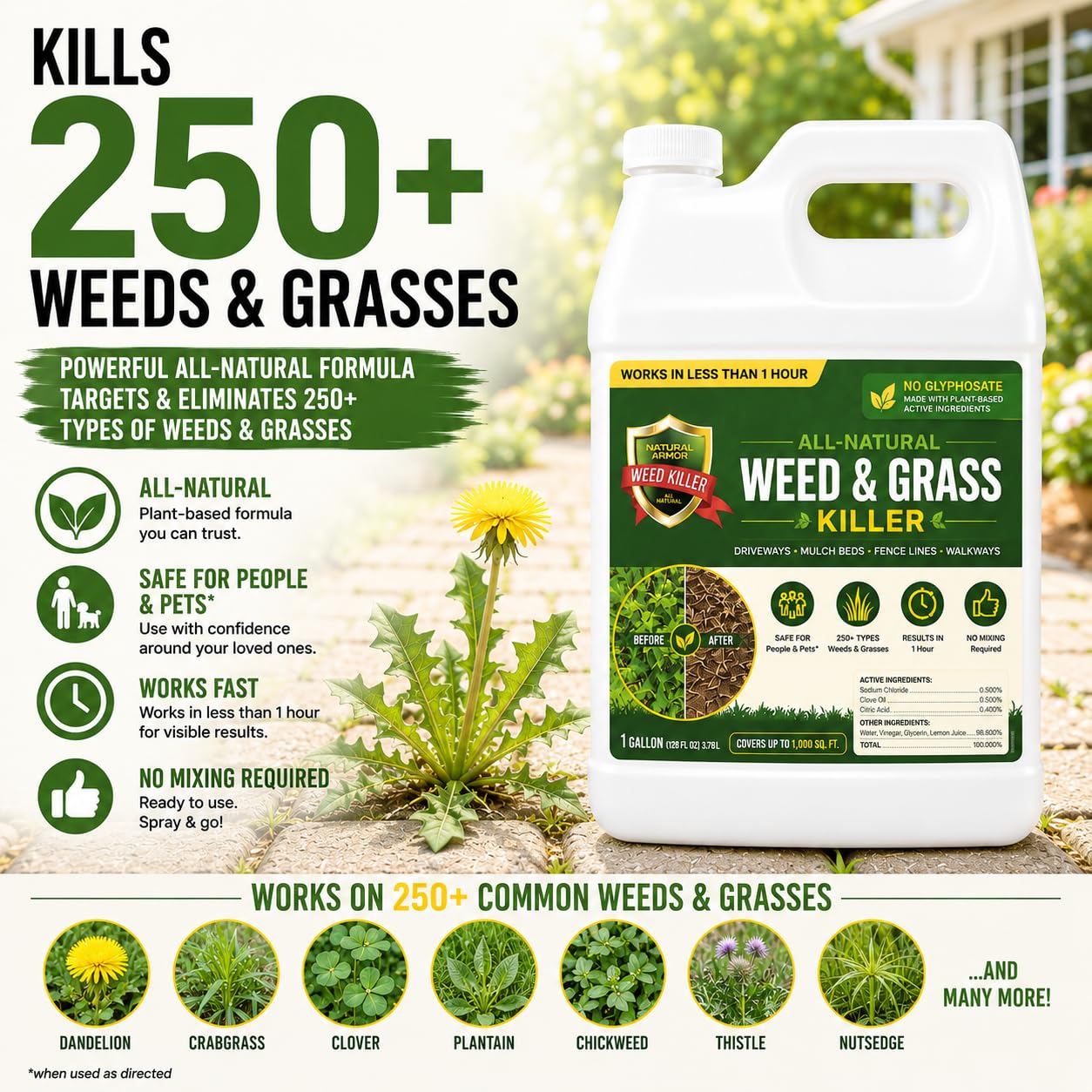 Natural Weed Killer - No Glyphosate! -4