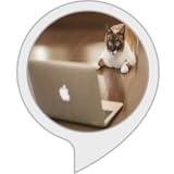 マンチカンと遊ぼう