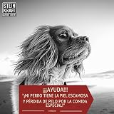 Ver la foto 7