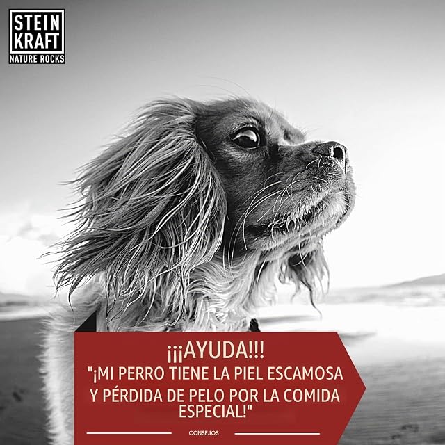 Foto 7 de 7 de STEINKRAFT ZEOLITH Polvo para perros, 250 g, 14 μm, alto porcentaje de clinoptilolita