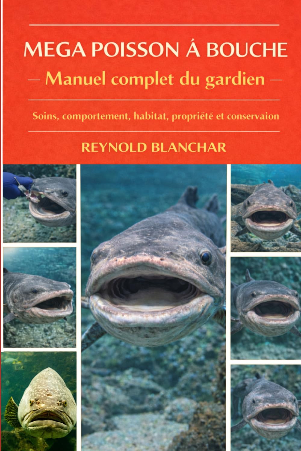 MEGA POISSON À BOUCHE: Soins, comportement, habitat, propriété et conservation