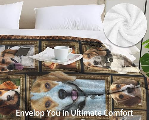 Miniatura 3 de Manta Beagle para mujeres, hombres y niños, regalos de Beagle para los amantes de los perros Beagle, manta suave y acogedora manta ligera para sofá