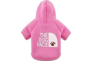 Extra Extra Small Dog Sweater: The Ultimate Warmth and Style for Your Tiny Friend