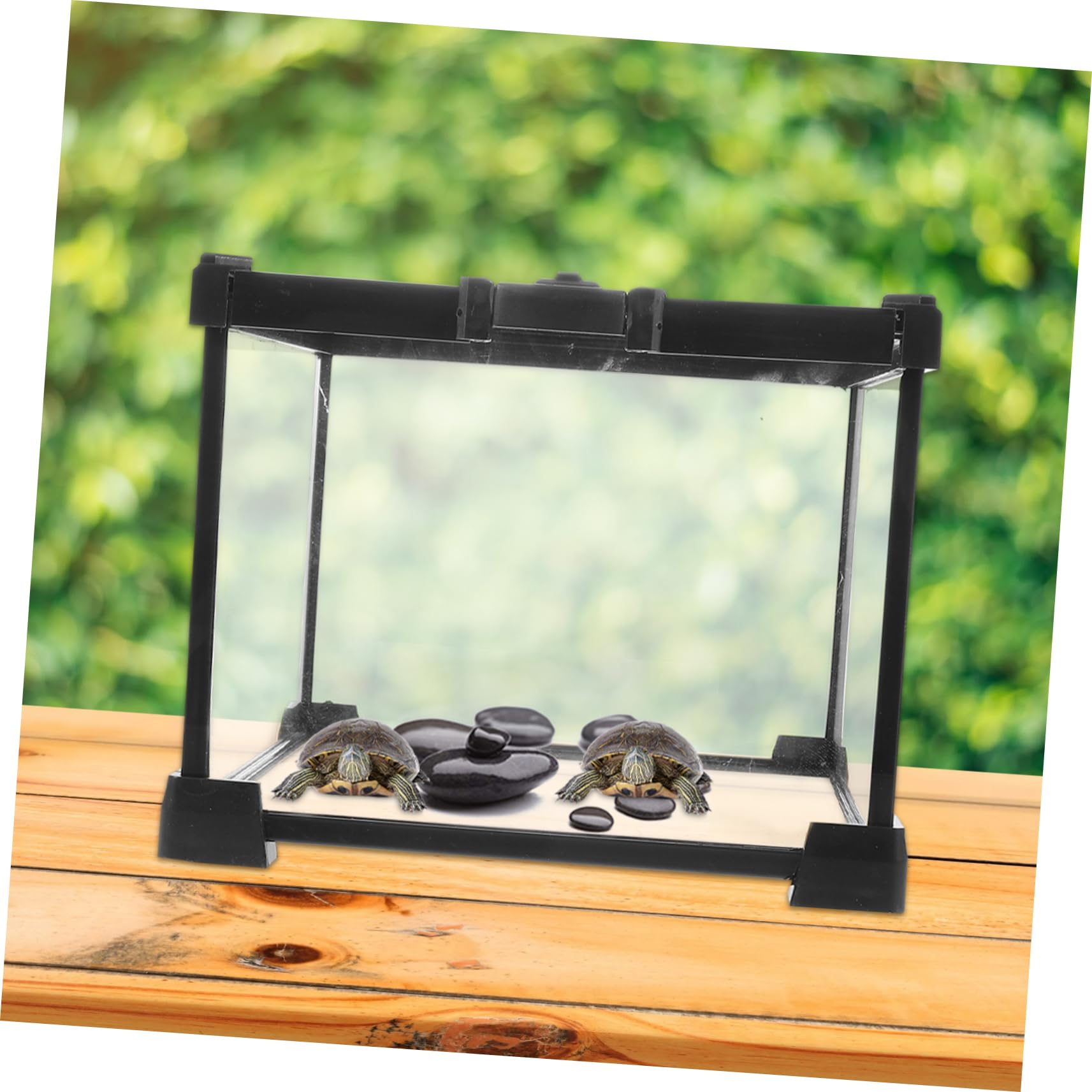 Terrario Transparente para Reptiles Ventilación Estable y Portátil | Plástico, Hierro y Vidrio, Uso Exterior, Apto para Cangrejos Ermitaños y Arañas