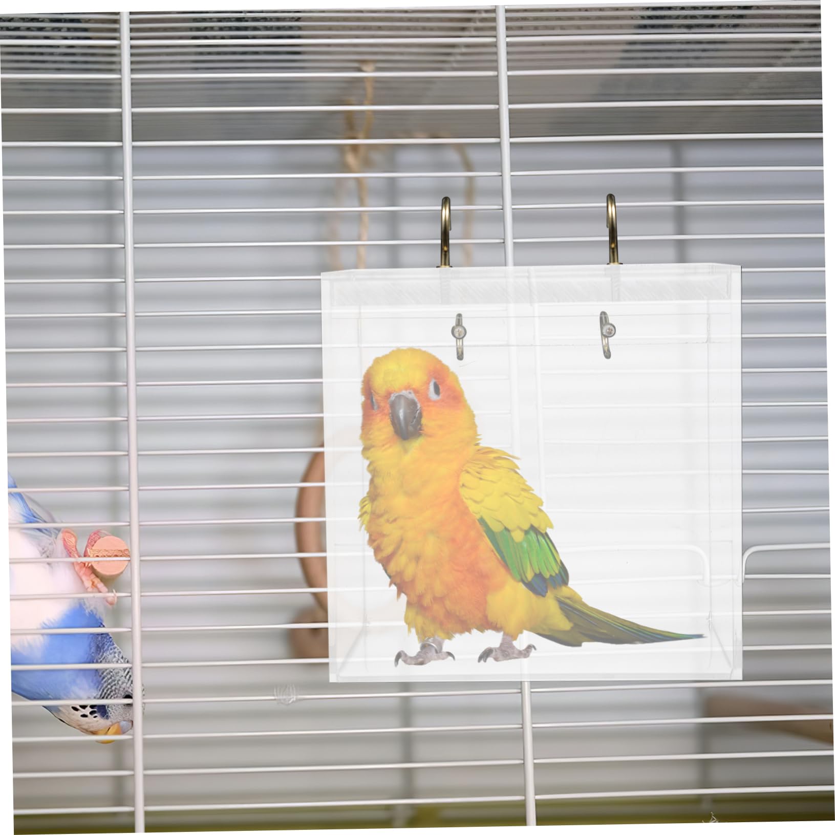 POPETPOP Acryl Vogelbad für Wellensittiche und Papageien, Abnehmbar