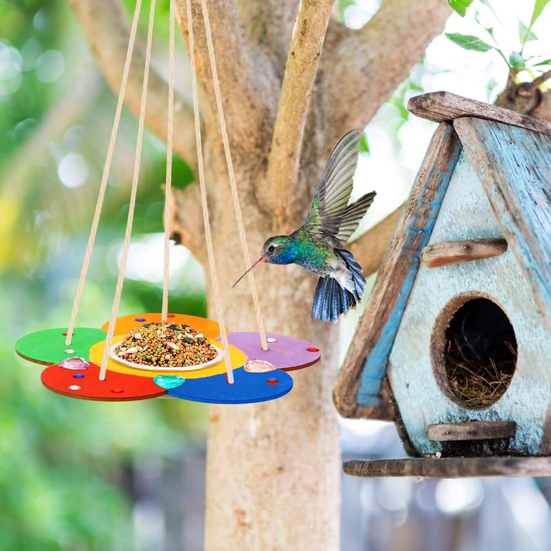 Kit De Nichoir Extérieur Kit De Maison D'oiseaux B... – Grandado