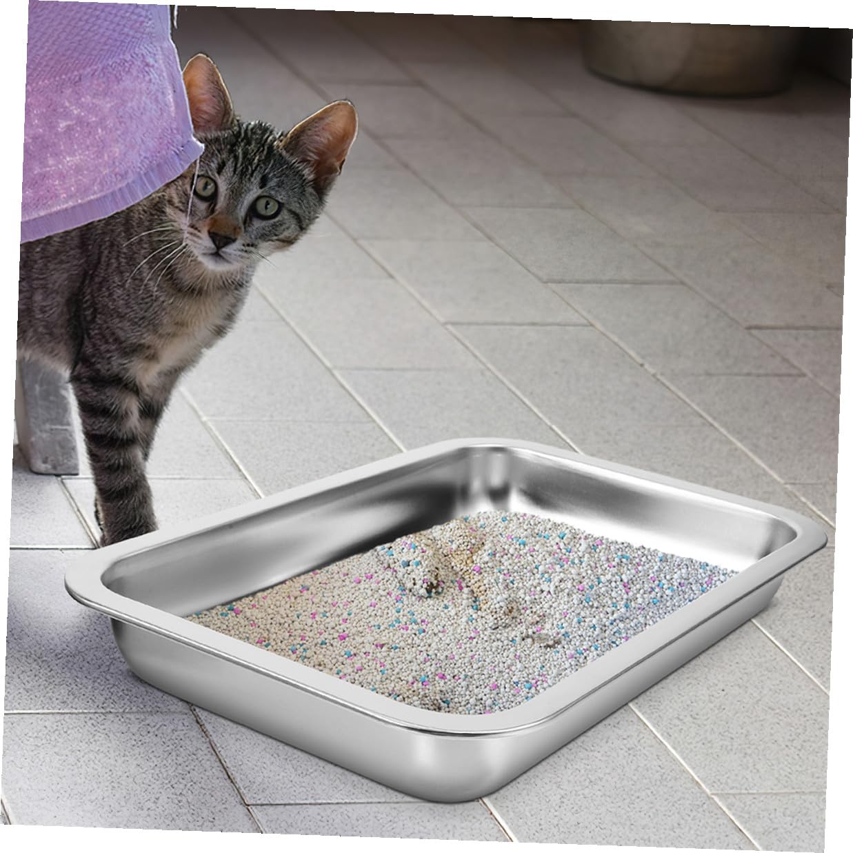 DOITOOL Lettiera per Gatti in Acciaio Inossidabile 304 senza Fori Set 2 Pezzi, Vassoio Metallico Aperto Grande per Interni, Toilette Portatile per Animali Domestici Resistente e Facile