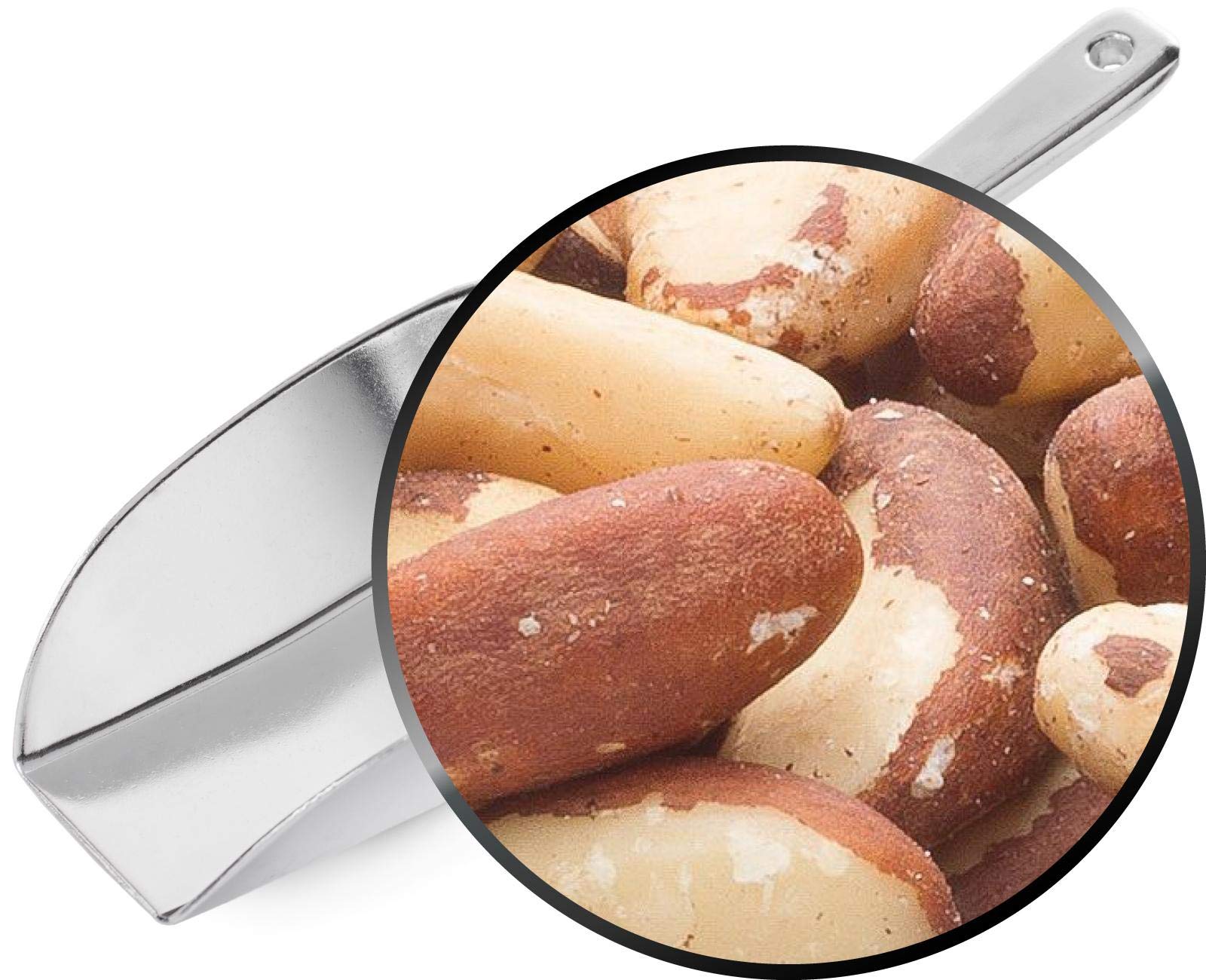 1 x 3kg Paranusskerne Paranüsse ohne Schale Bolivien naturbelassen ungesalzen ungeröstet hoher Selen-Gehalt zuckerfrei salzfrei vegetarisch vegan glutenfrei laktosefrei 100 % Premium