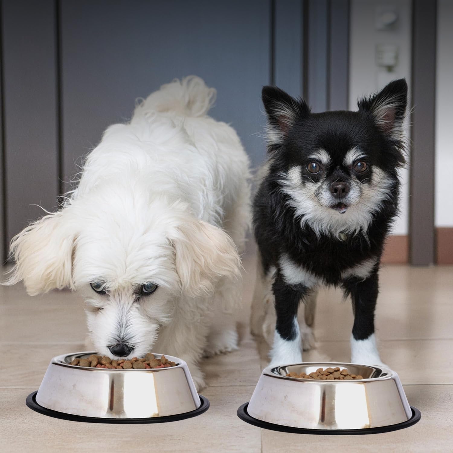 ICONIC PET 16 oz/2 Cup (2 Pack) Stainless Steel Non-Skid Pet Food/Water Bowls with Rubber Rings: Rust-Free, Dishwasher Safe, Noise-Free and Stable Dishes for Cats,Dogs,Kittens, and Puppies