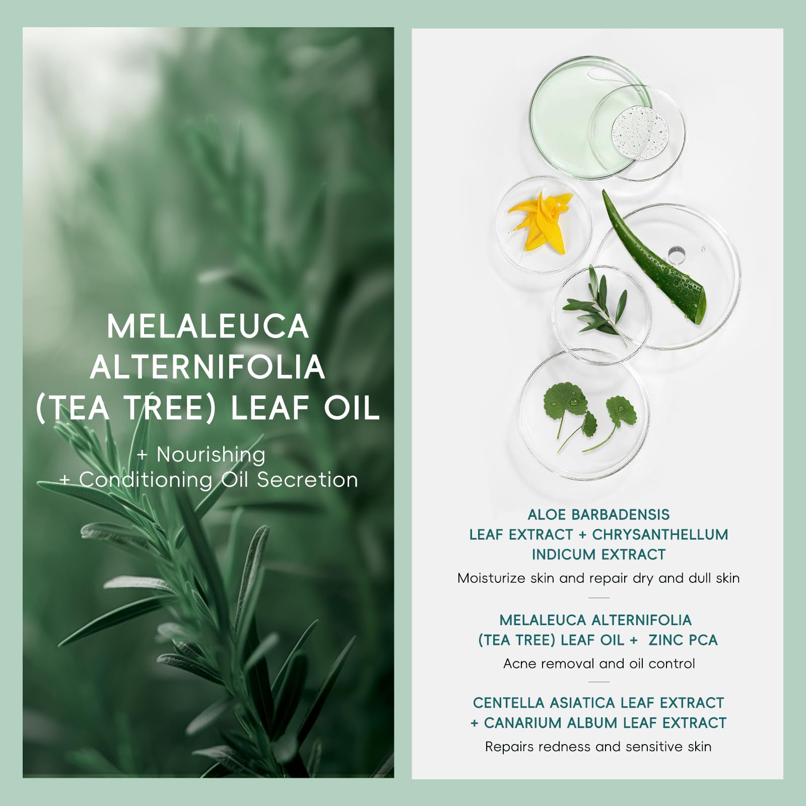 Zestaw do pielęgnacji skóry Skincare Routine Anti Trądzik, Drzewo herbaciane Zestaw do pielęgnacji skóry | 5 sztuk Rutyna Podróżna do twarzy, przeciw niedoskonałościom, oczyszczająca i kojąca, do skóry trądzikowej i trendu tłustego
