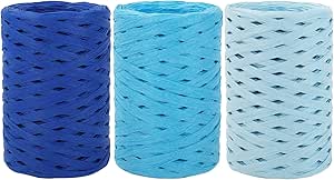 Amazon.com: Whaline 984Ft Gradient Blue Raffia Ribbons Blue Series ...