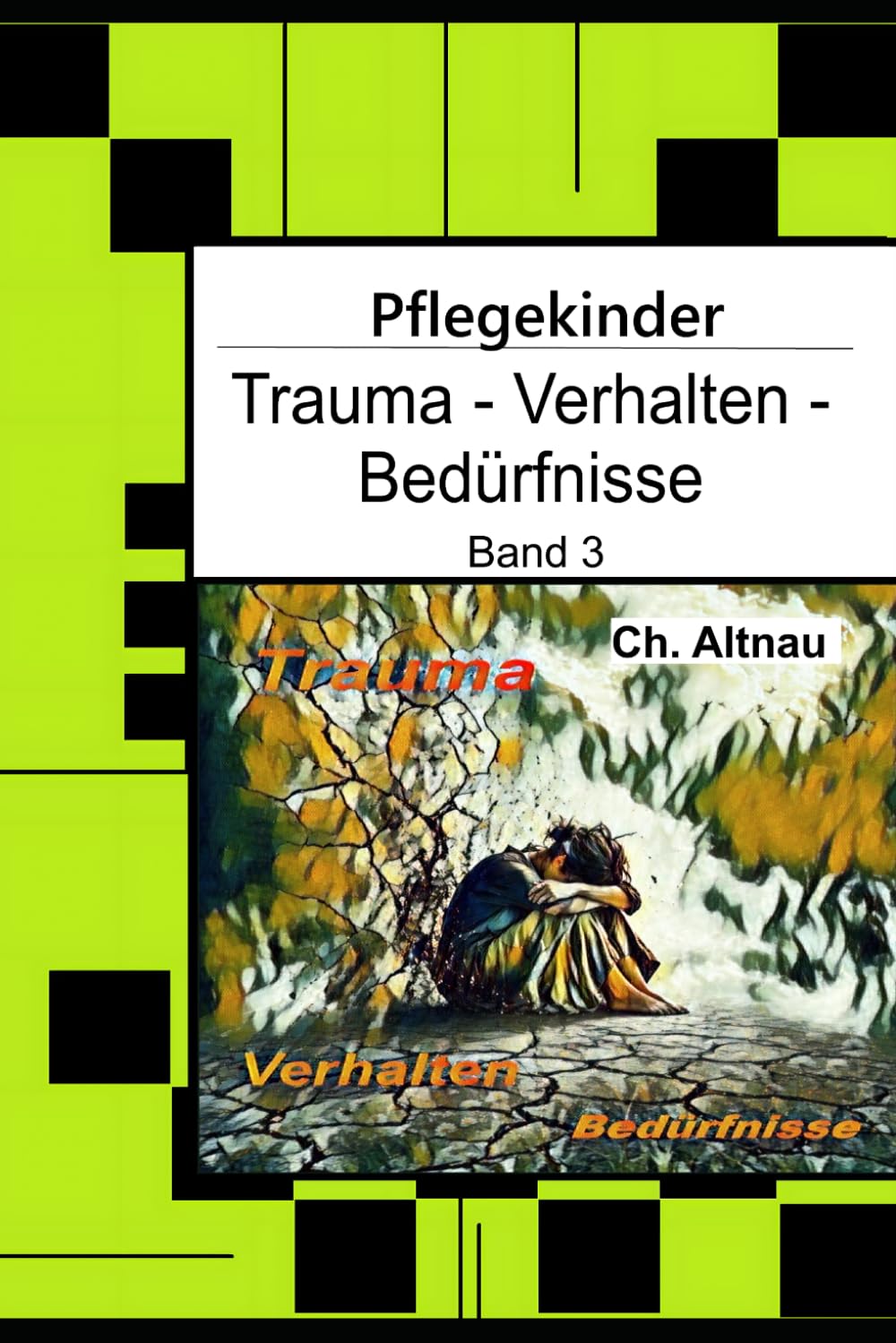 Pflegekinder verstehen - Trauma - Verhalten - Bedürfnisse: Ein Ratgeber für Pflegepersonen, Erzieher, Lehrer, Sozialpädagogen, Heimeinrichtungen und ... im Fokus – Verstehen, Begleiten, Stärken)
