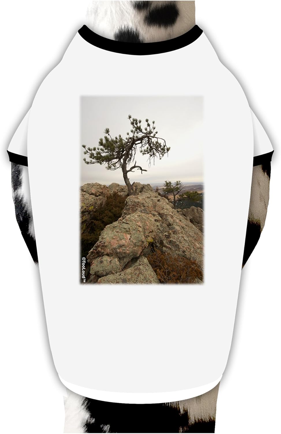 TOOLOUD Stone Tree Colorado Dog Shirt White with Black Medium