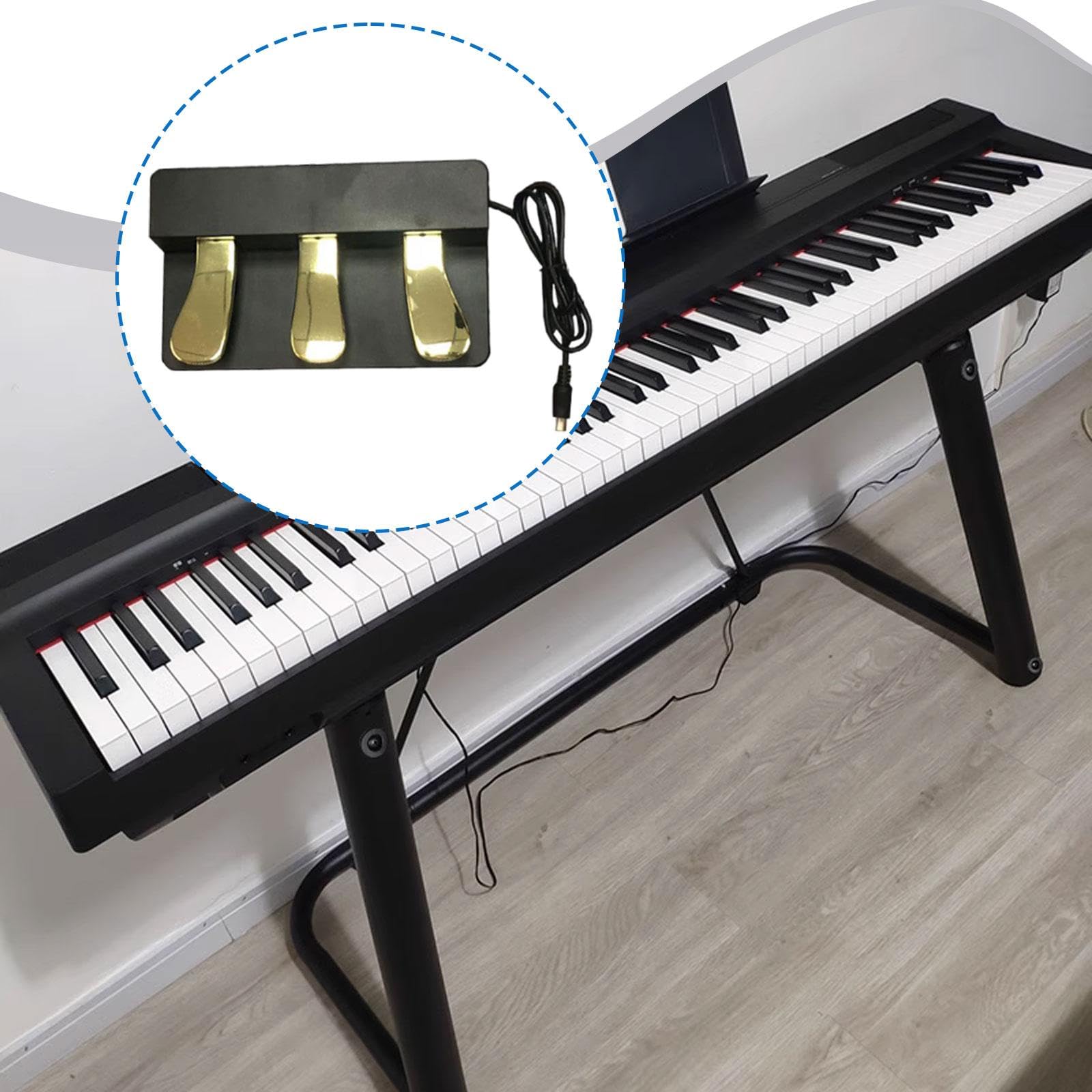 Qianly Pedal de Sostenido Compacto para Piano Pedal Sintetizador Pedal Instrumento Musical Antideslizante Resistente Adecuado para Práctica en Casa, con Tapa