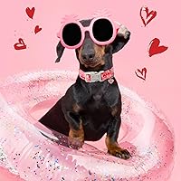 Vista 117 de Unique Style Paws - Collar rosa con hebilla de metal, duradero y lindo para perros pequeños a grandes