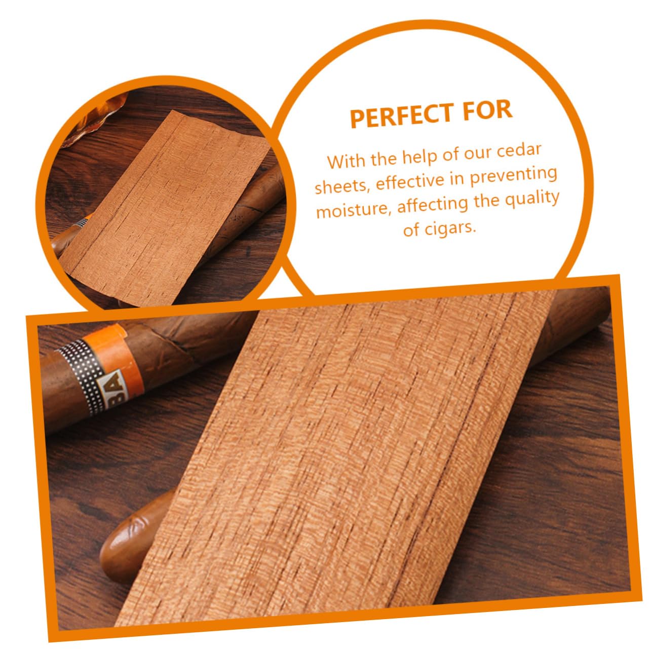 ABOOFAN 10pezzi Cedro Per Humidor Da Accessori Per Scatole e Barattoli Design Elegante e Funzionale Facile Da Usare