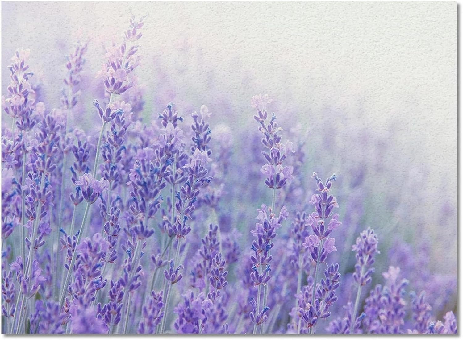 Purple Plant Lavender Flower Living Room Rug Floor Mat Children's Room Bedroom Bedside Carpet Kitchen Door Mat 160x200cm