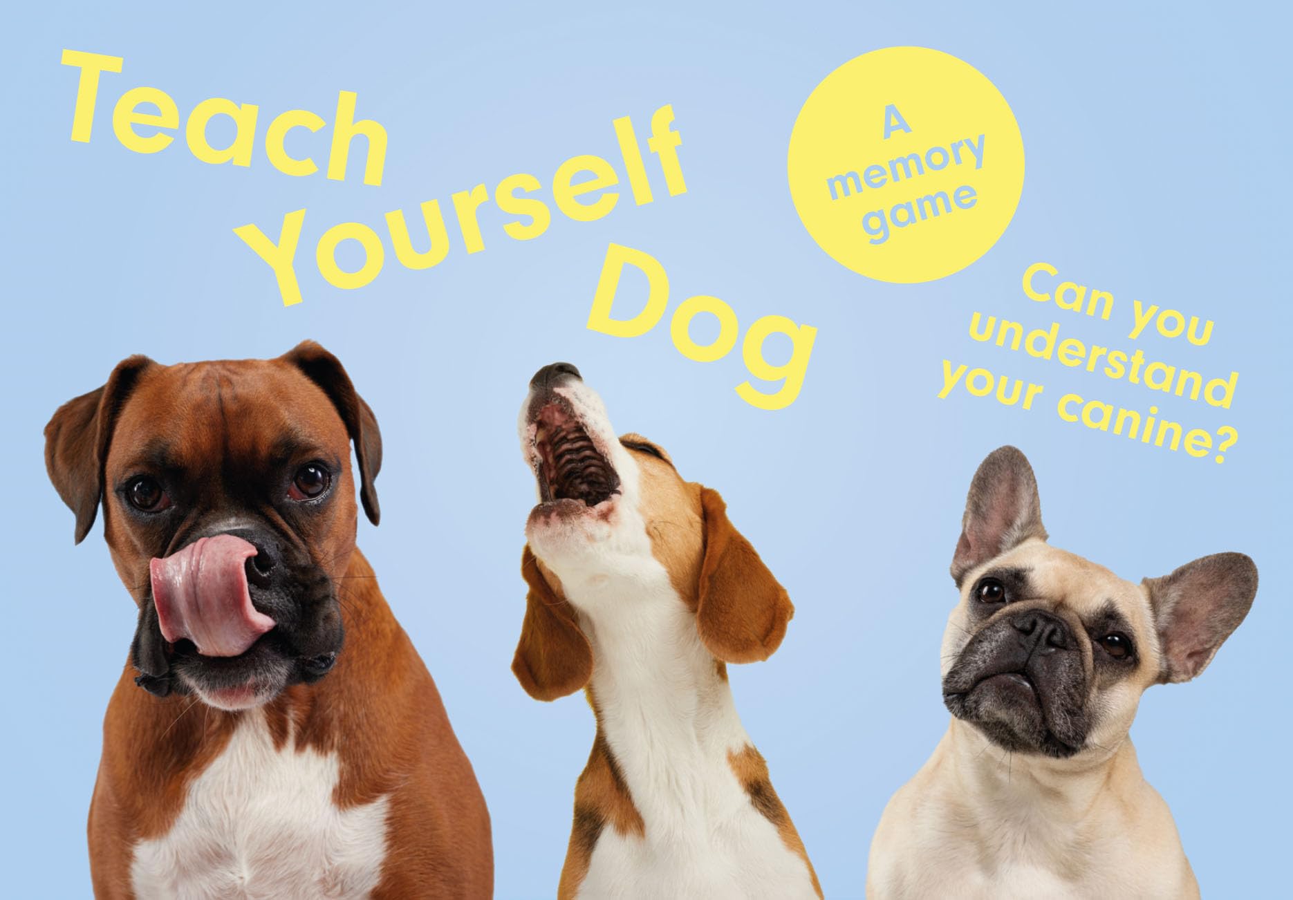 Teach Yourself Dog by Gerrard Gethings 9781399608527